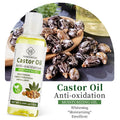 Castor Oil Vegetable Argan Avocado Oil Facial Body Care Hair Massage Essential Oil Coconut Body Care